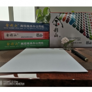 復(fù)印紙打印紙